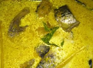 Foto resep Gulai ikan caru pedas
