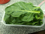 Conservar verduras de hojas por muchos días. 7/10 días