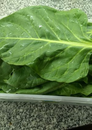 Una foto de Conservar verduras de hojas por muchos días. 7/10 días