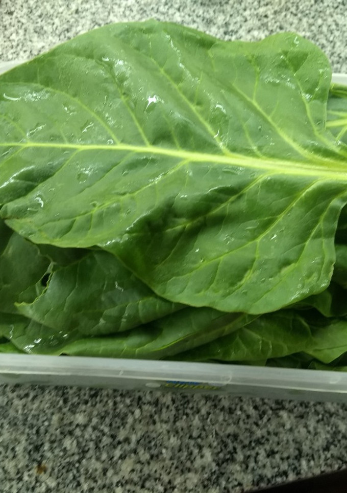 Una foto de Conservar verduras de hojas por muchos días. 7/10 días