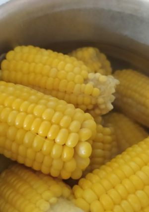 عکسی از دستور ذرت پخته برای فریز کردن