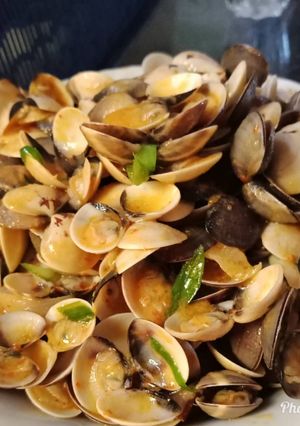 Foto resep Tumis Kepah Pedas