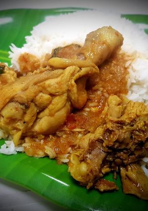 A picture of Simple Chicken Curry.