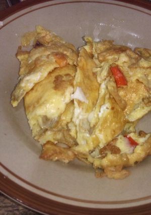 Foto resep Telur dadar sederhana