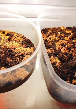 Foto resep Silky pudding puyo coklat toping oreo regal