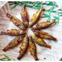 Mourola maach bhaja (Bengali style fish fry) A picture of Mourola maach bhaja (Bengali style fish fry).
