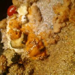 A picture of Shrimp fried.