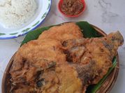 Gambar ikan mujaer tepung