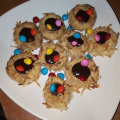 A picture of Coconut nest.