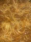 Spaghetti & Meat Sauce