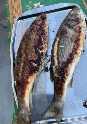 Une photo de Bars farcis oseille, persil, ail et oignon grillés à la plancha