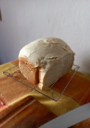 Una foto de Pan en 4 pasos
