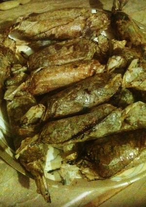A picture of Aflatoon kabab.