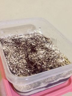 Foto resep Oreo Cream Cheese / Dessert Box Oreo