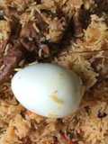 Mutton Biryani | Authentic Ambur Biryani