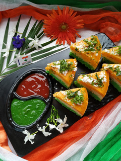 पौष्टिक मिक्स व्हेज तिरंगा रवा ढोकळा (mix veg rava dhokla recipe in marathi) रेसिपी चे मुख्य फोटो