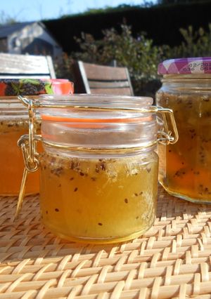 Une photo de Confiture et gelée de kiwi