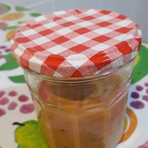 Salsa de tomate medicinal, con aloe vera y algas kombu