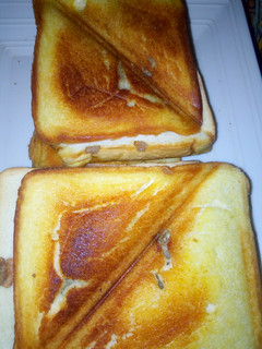 A picture of Toasted bread.