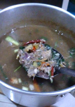 รูปของ น้ำยาป่า