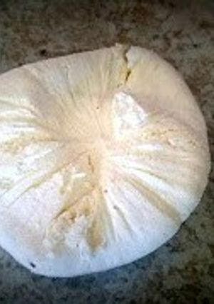 A picture of Easy Homemade Paneer.