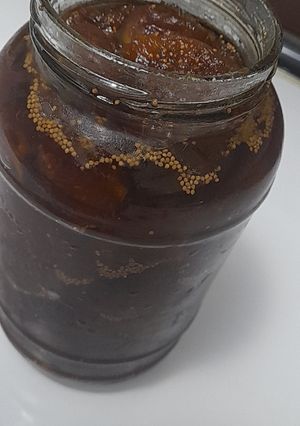 عکسی از دستور مربای انجیر