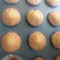 Vanilla Cup cakes A picture of Vanilla Cup cakes.