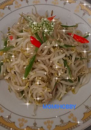 Foto resep Tumis toge bawang kembang