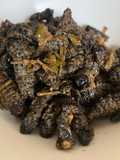 Mopane Worms