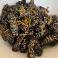 Mopane Worms A picture of Mopane Worms.