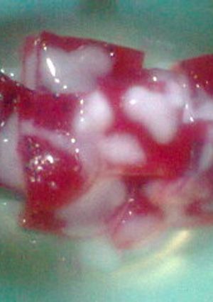 Foto resep AGAR-AGAR BUAH NAGA SAUS SUSU