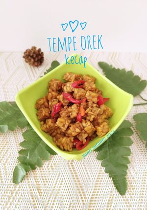 Foto resep Tempe Orek Kecap