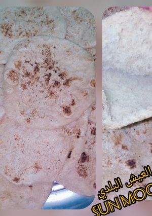 A picture of Baladi Bread (with Bran).
