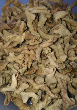 Foto resep Usus goreng