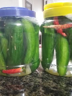 عکسی از دستور خیارشور خونگی🥒🥒🥒🥒🥒🥒🥒🥒🥒