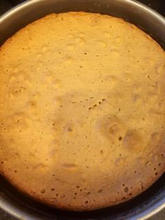 A picture of Sponge Cake.