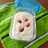 Rice kheer