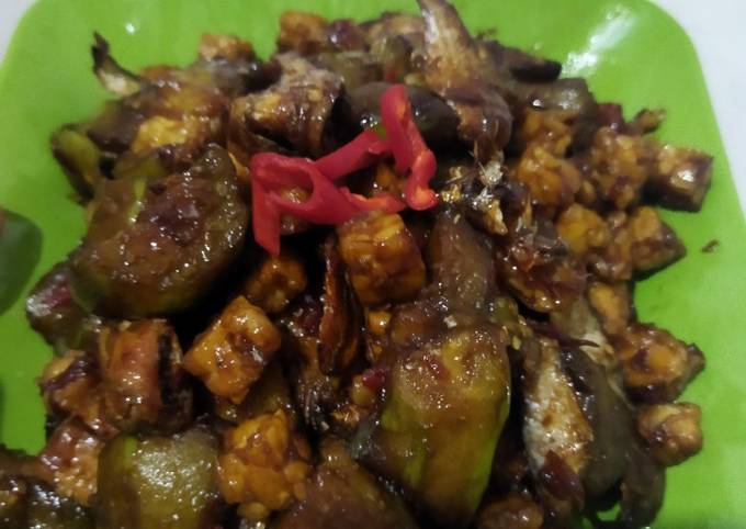 Sambel goreng terong+tempe+ ikan asin