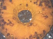 Una foto de torta batidora
