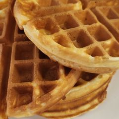 A picture of Waffles.