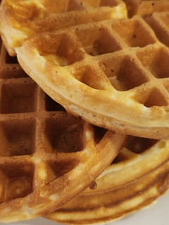A picture of Waffles.