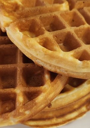 A picture of Waffles.