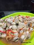 Kerang pedas