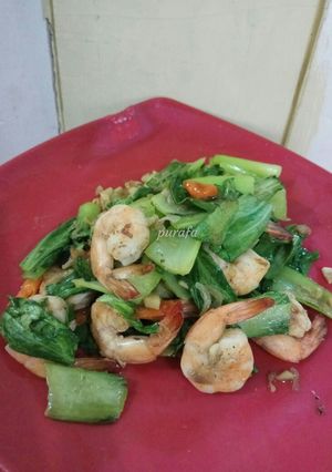 Foto resep Tumis udang pokcoy