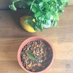 A picture of Lentil Vinaigrette🌱🪴.