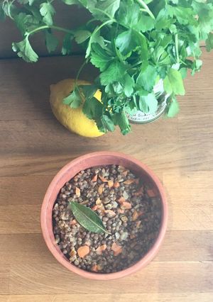 A picture of Lentil Vinaigrette🌱🪴.