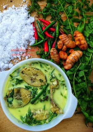 Gambar Masak lemak pucuk paku dan ikan aye #Ikan #MarathonRaya #MingguKetiga