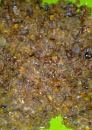 Foto resep Abon Cakalang