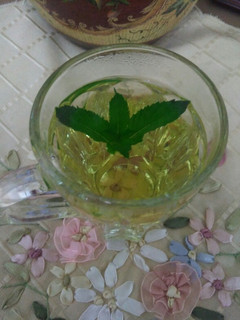 عکسی از دستور دمنوش نعنا
