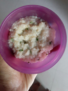 Foto resep Bubur Nasi Mpasi 9+